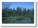 Jean Lafitte Scenic Byway