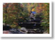 West Virginia