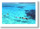 Captain Tamas Lagoon Cruises