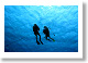 Cook Island Divers