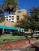 University Center Hotel, Gainesville, Florida