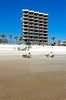 Nautilus Inn, Daytona Beach, Florida