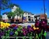 Holiday Inn Express, Berkeley, California