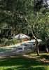 Magic Tree Resort, Kissimmee, Florida