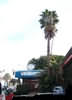 Los Angeles Adventurer All Suites Hotel, Inglewood, California