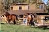 Rock Springs Guest Ranch, Bend, Oregon