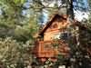 Evergreen Lodge, Groveland, California